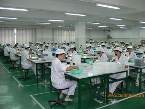 驗貨公司驗廠服務(wù) 為制造業(yè)保駕護航的全面解析